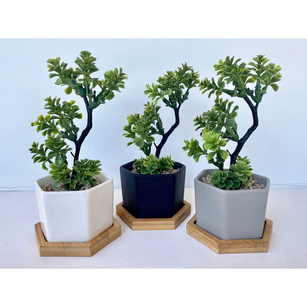 3x Small Artificial Bonsai Plants in white, black and grey Hexagon Pot with Tray